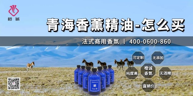 青海香薰精油-怎么买[橙诚香氛]