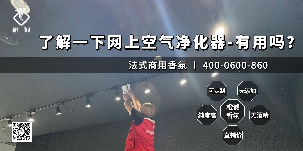 了解一下网上空气净化器-有用吗？[橙诚香氛]