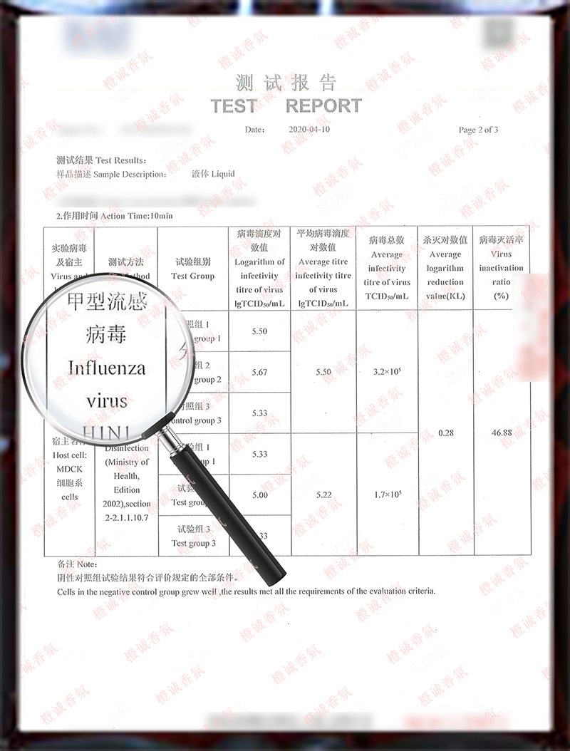 【H1N1检测】2 橙诚（上海）国际贸易.jpg