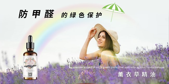 防甲醛的绿色保护伞—薰衣草精油